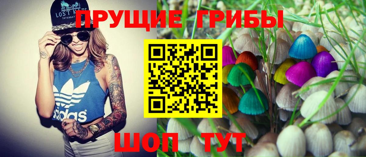 Псилоцибиновые грибы мухоморы  как найти наркотики  Россошь  Вход с VPN 
